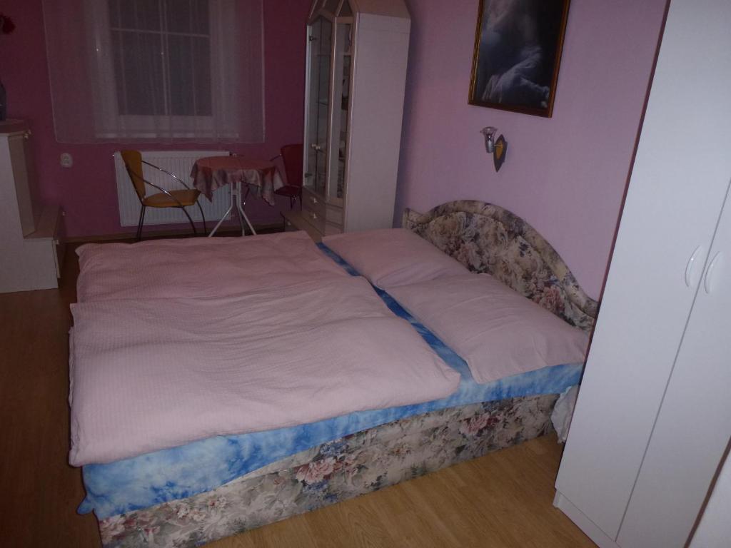 Pension Rak Karlovy Vary Extérieur photo